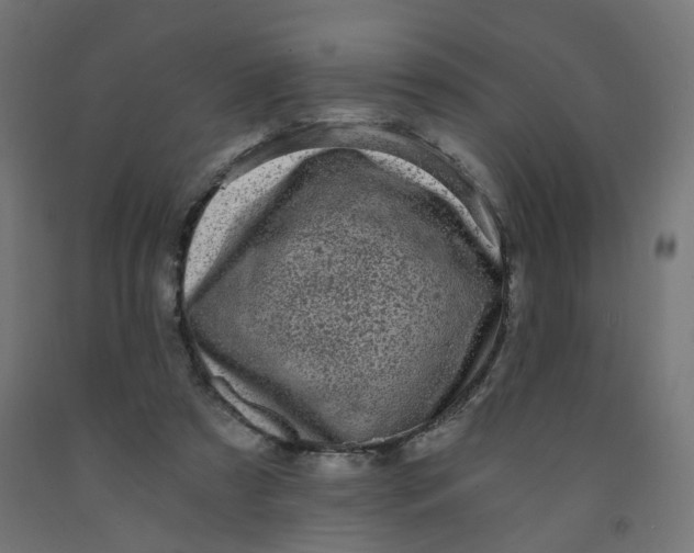 X0000091900305200710031827