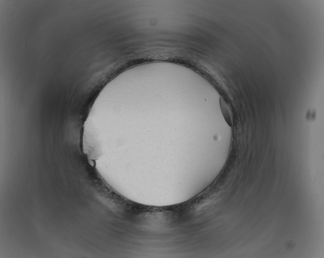 X0000091900307200710031827