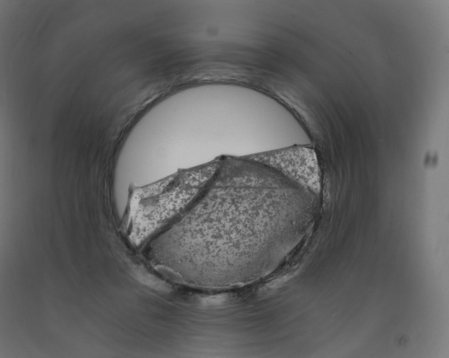 X0000091900309200710031827