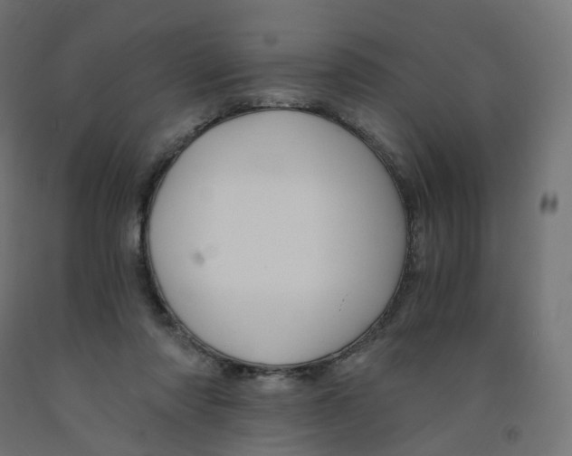 X0000091900310200710031827