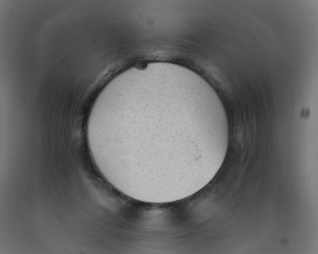 X0000091900312200710031827