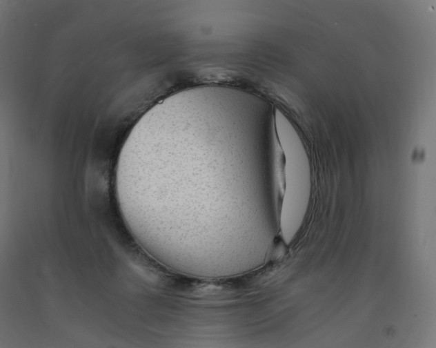 X0000091900315200710031827