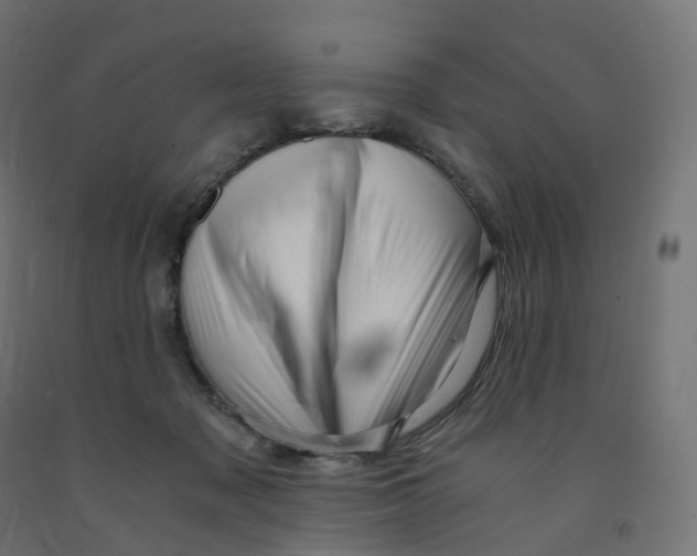 X0000091900317200710031827