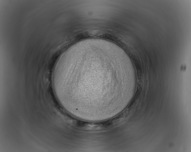 X0000091900319200710031827