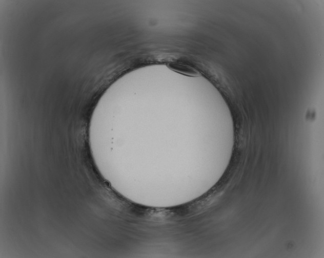 X0000091900321200710031827