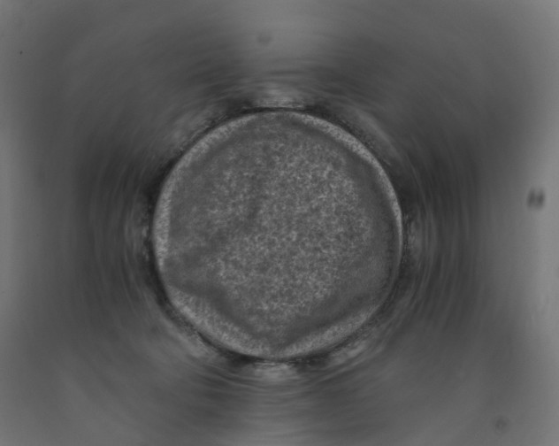 X0000091900322200710031827