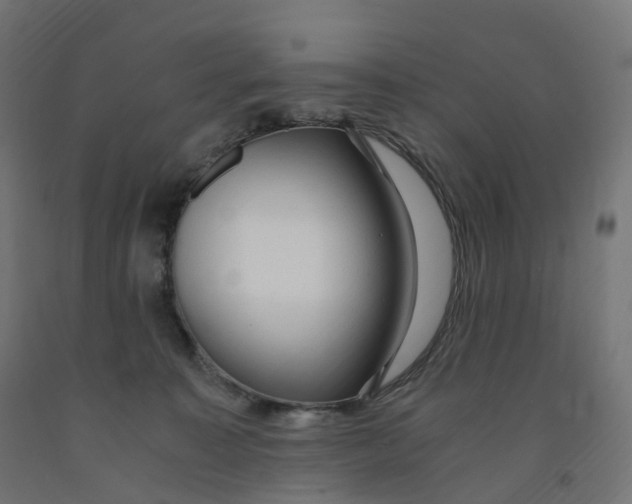 X0000091900323200710031827