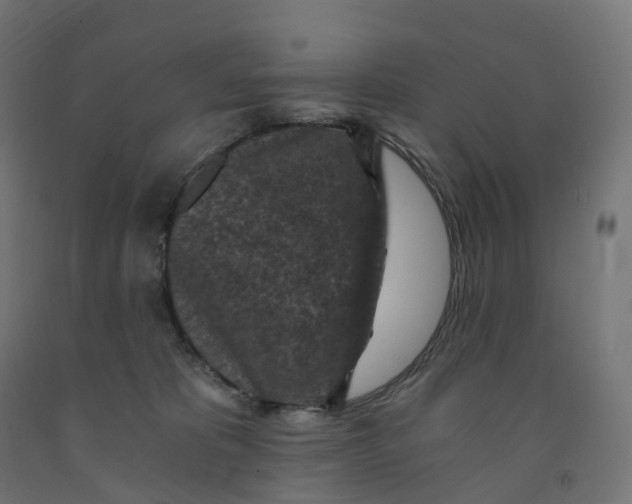 X0000091900325200710031827