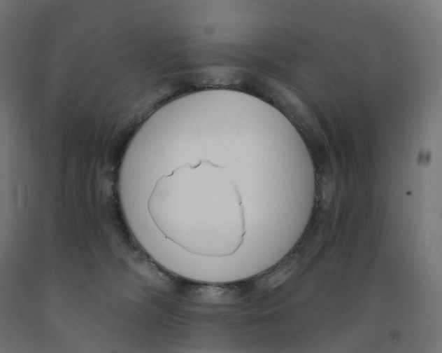 X0000091900326200710031827