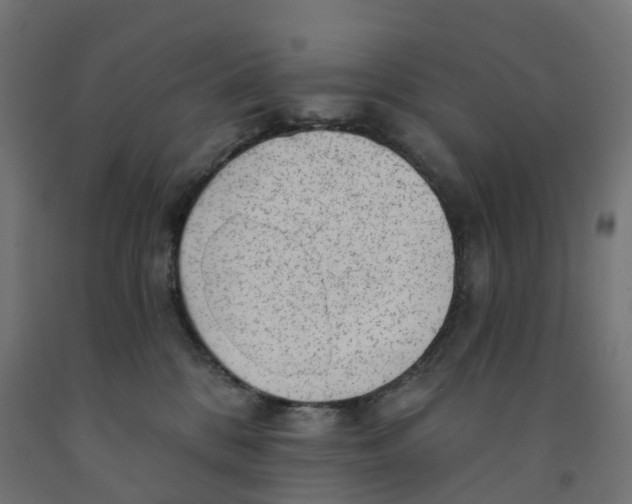 X0000091900328200710031827