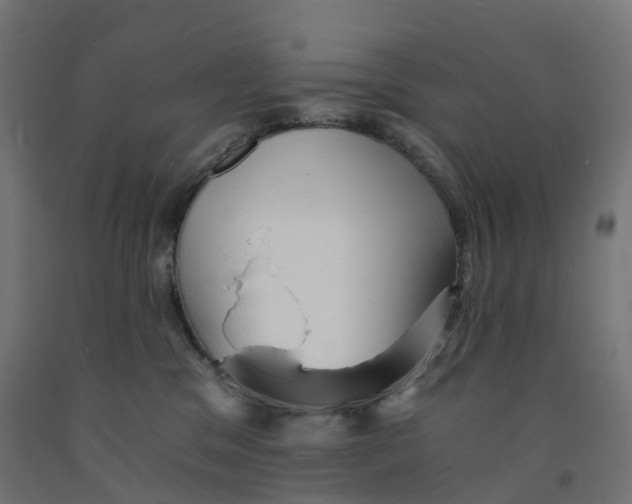 X0000091900329200710031827