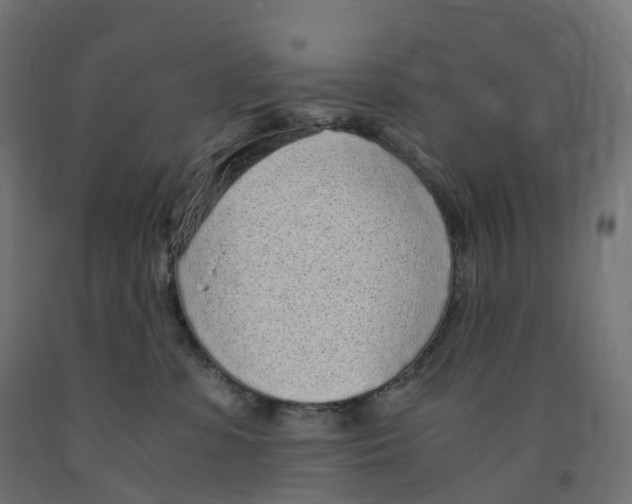 X0000091900331200710031827