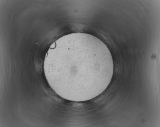 X0000091900332200710031827