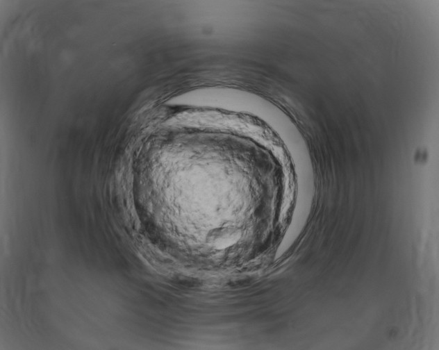 X0000091900333200710031827