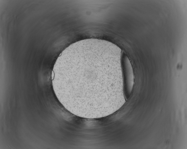 X0000091900336200710031827