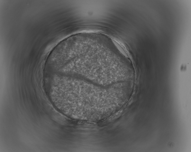 X0000091900337200710031826