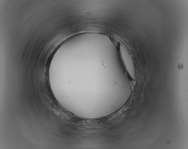 X0000091900338200710031826