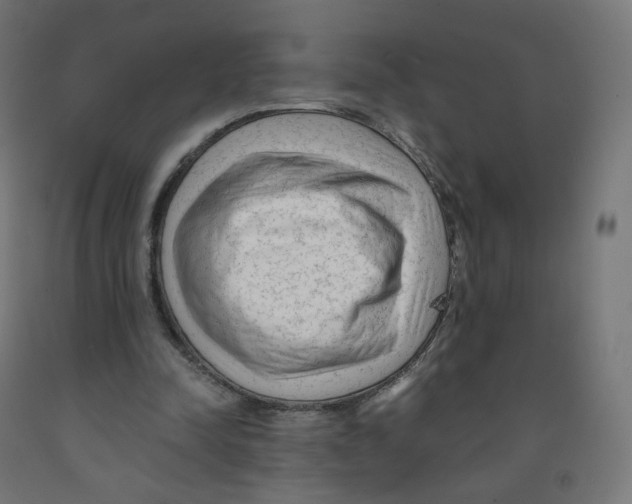 X0000091900342200710031826