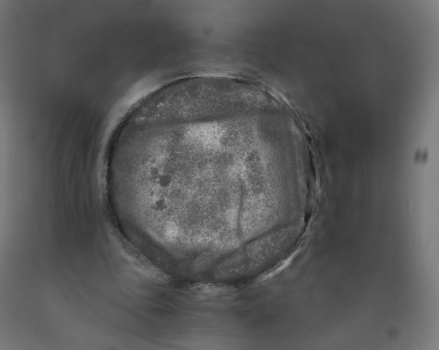 X0000091900343200710031826