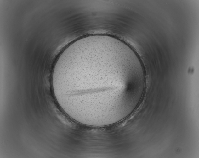 X0000091900345200710031826