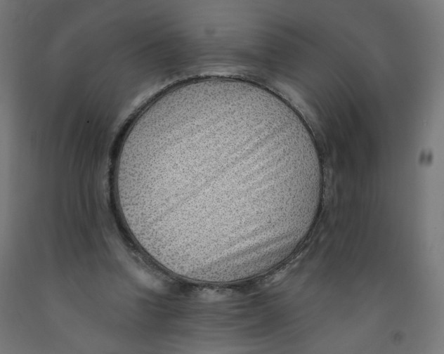 X0000091900346200710031826