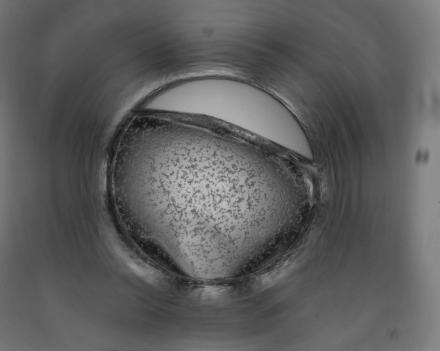 X0000091900350200710031826