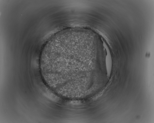 X0000091900353200710031826