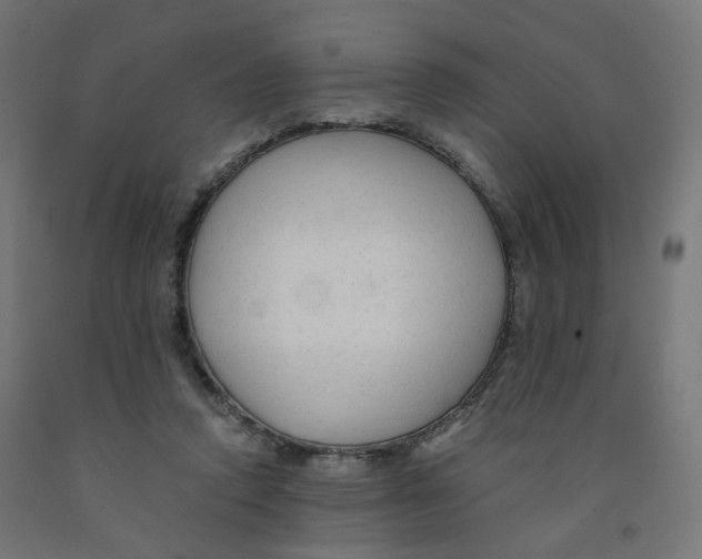 X0000091900354200710031826