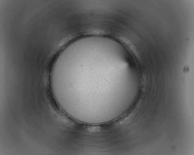 X0000091900355200710031826