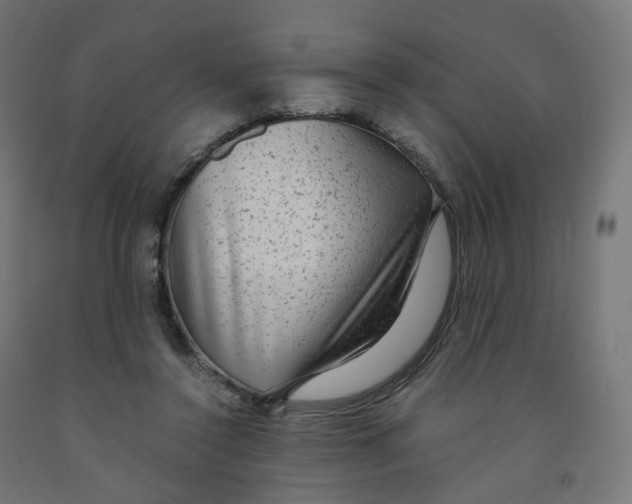 X0000091900356200710031826