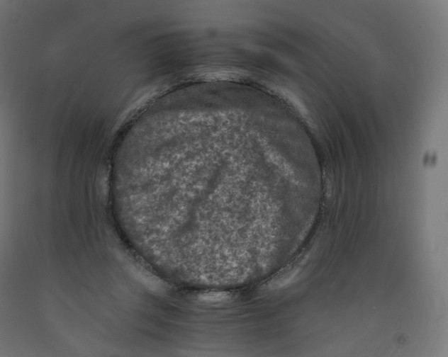 X0000091900357200710031826