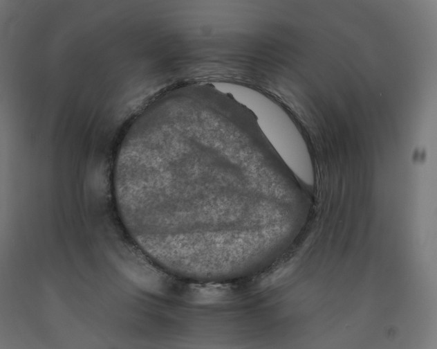 X0000091900359200710031826