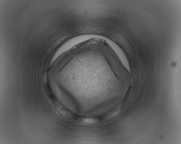 X0000091900360200710031826