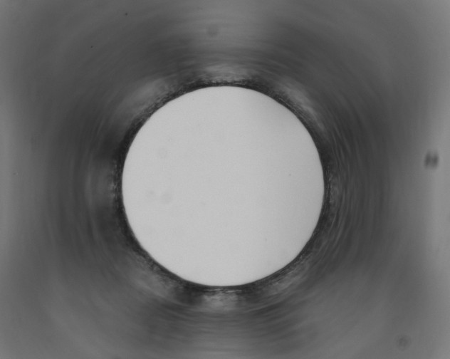 X0000091900362200710031826