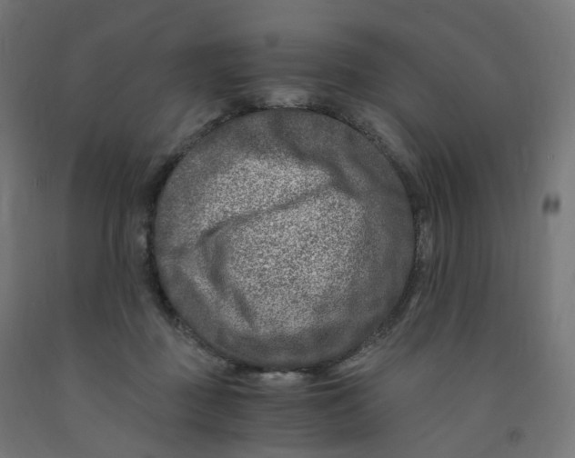 X0000091900363200710031827