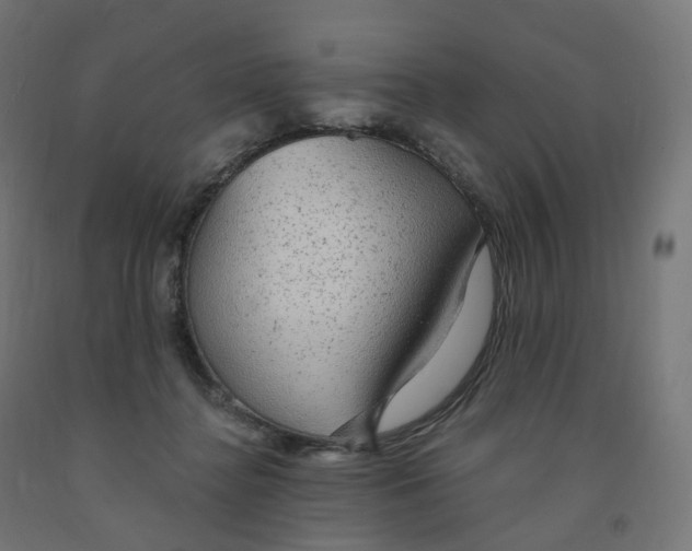 X0000091900364200710031827