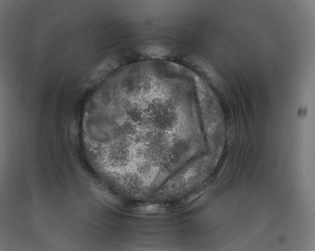 X0000091900365200710031827