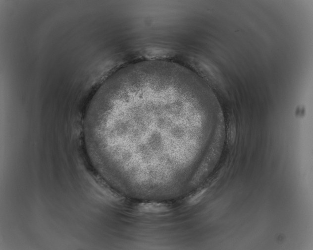 X0000091900367200710031827