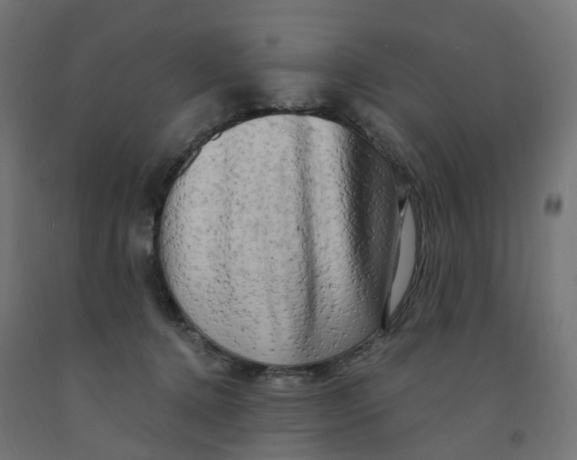 X0000091900368200710031827