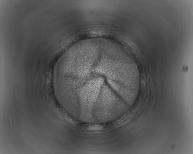 X0000091900369200710031827