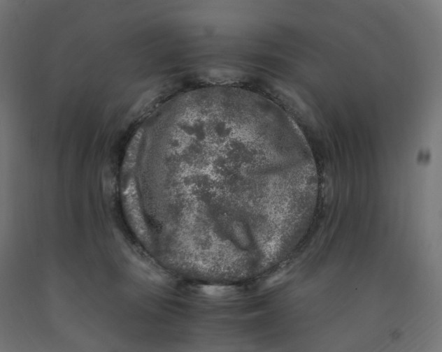 X0000091900371200710031827