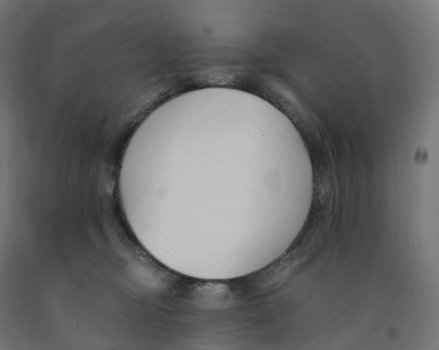 X0000091900374200710031827