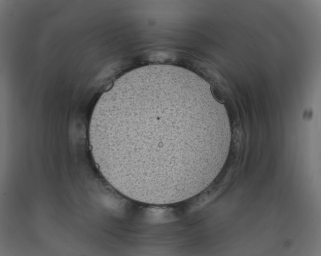 X0000091900375200710031827