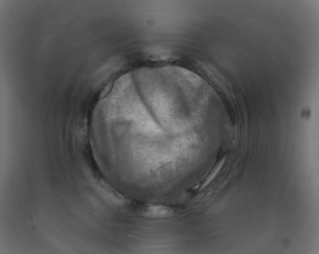 X0000091900376200710031827