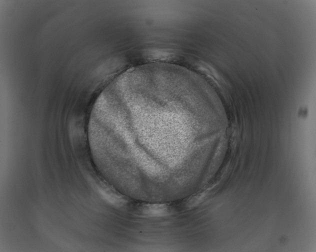 X0000091900377200710031827