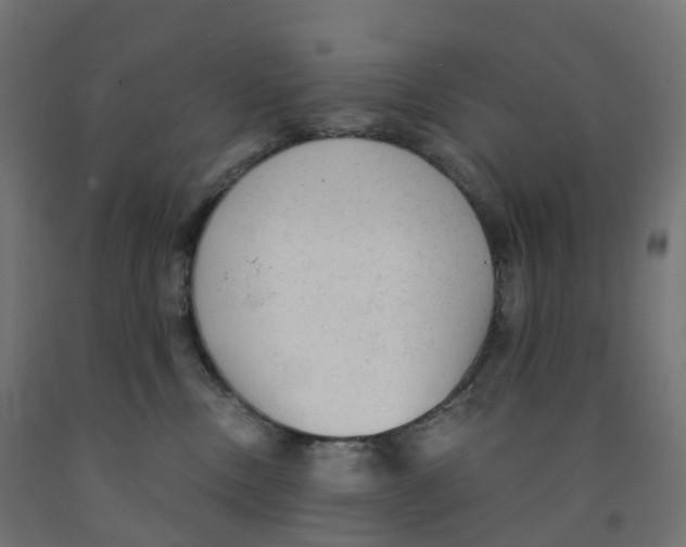 X0000091900378200710031827