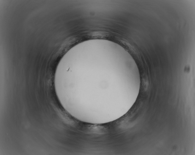 X0000091900379200710031827