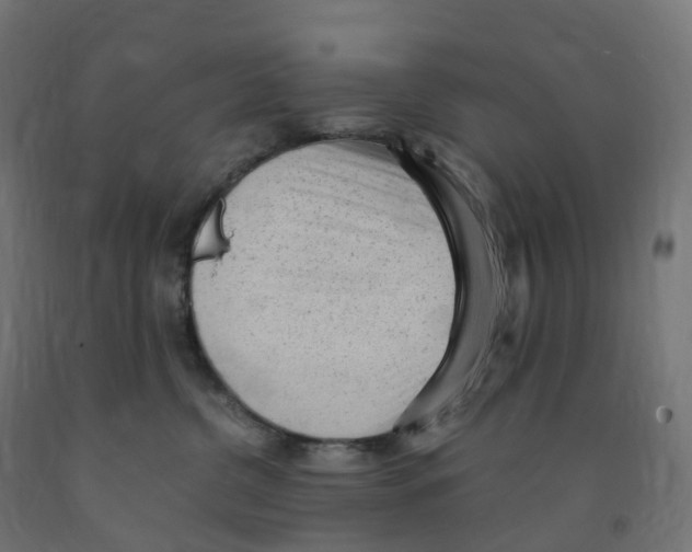 X0000091900380200710031827