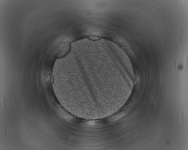 X0000091900382200710031827