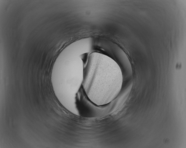 X0000091900384200710031827